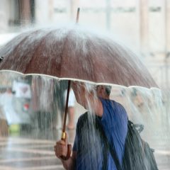 Early Storms -